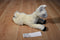 Aurora Flopsies Cream Llama Alpaca 2017 Beanbag Plush
