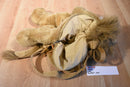 Metro Goldwyn Mayer Lion Backpack