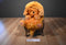 Jay at Play Sneak-a-Peek Puppies Golden Retriever Plush