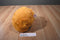 Jay at Play Sneak-a-Peek Puppies Golden Retriever Plush