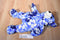 b Posh Blue and White Flowered Bear Beanbag Plush