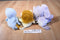 Enesco Precious Moments Tender Tails Blue Bird Elephant Lion Beanbag Plush