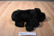 Chosun Black Floppy Dog With Maroon Bow Beanbag Plush