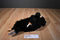 Adventure Planet Hugging Black and Beige Chimpanzee Plush