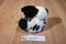 Walmart White and Black Spotted Bunny Rabbit Beanbag Plush