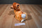 Disney Store Bambi Plush