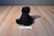Ganz Webkinz Black Bear HM004 With Sealed Code