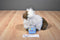 Ganz Webkinz Himalayan Cat Beanbag Plush HM165 Sealed Code
