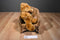 Galerie Brown Dove Teddy Bear Plush