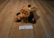 Ty Classic Memphis Brown Hound Dog 2001 Beanbag Plush