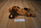 Ty Classic Memphis Brown Hound Dog 2001 Beanbag Plush
