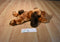 Ty Classic Memphis Brown Hound Dog 2001 Beanbag Plush