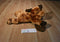 Ty Classic Memphis Brown Hound Dog 2001 Beanbag Plush