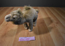 Aurora Wildbeasts Global Conservation Oasis the Dromedary Camel Plush