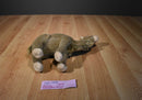 Aurora Wildbeasts Global Conservation Oasis the Dromedary Camel Plush