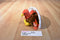 Ty Beanie Babies Gobbles Turkey 1996 Beanbag Plush