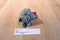 Russ Keats Grey Weimaraner Puppy dog Beanbag Plush