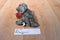 Russ Keats Grey Weimaraner Puppy dog Beanbag Plush