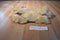 Kellogg's Little Brownie Bakers GSA Golden Retriever 2013 Plush