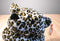 Ty Pillow Pals Speckles the Leopard 1996 Plush
