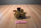 Boyd's Bears Mortimer Moose 1997 Beanbag Plush