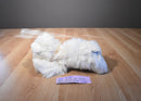 Russ ULTA Kirby West Highland Terrier Beanbag Plush