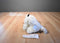 Morehead Snow Furries White Bengal Tiger Cub 1997 Plush