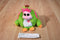 Ty Monstaz Daisy Green and Pink Monster 2013 Beanbag Plush