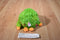 Ty Monstaz Daisy Green and Pink Monster 2013 Beanbag Plush