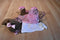 Poochie & Co. Brown Dachshund In Pink Tutu Bag/Purse
