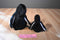 Ty Beanie Buddies and Babies Waddle the Penguin Beanbag Plush