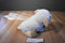 Kohl's Cares Eric Carle The Lamb And The Butterfly White Sheep 2012 Plush