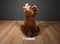 Aurora Brown Moose 2015 plush