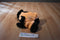 Boyd's Spooky Tangaween the Black Cat 1997 Beanbag Plush