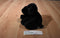 FAO Schwarz Black lab Puppy Dog Beanbag Plush