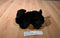 FAO Schwarz Black lab Puppy Dog Beanbag Plush