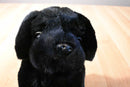 FAO Schwarz Black lab Puppy Dog Beanbag Plush