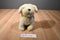 Fiesta Barking Yellow Lab Puppy Dog Plush