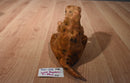 Wild Republic T-Rex 2011 Beanbag Plush