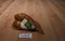 Wild Republic T-Rex 2011 Beanbag Plush