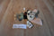 Disney Zootopia Finnick Fox Plush