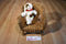 Build a Bear Playful Pup And Lil Furry Friend White/ Brown Shaggy Dog Beanbag Plush
