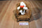 Build a Bear Playful Pup And Lil Furry Friend White/ Brown Shaggy Dog Beanbag Plush