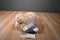 Animal Adventure Tan and Beige Bunny Rabbit with Egg Bow 2018 Plush