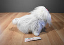 Ty Classic Foofie the White and Grey Lhasa Apso 2004 Beanbag Plush
