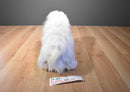 Ty Classic Foofie the White and Grey Lhasa Apso 2004 Beanbag Plush