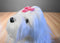 Ty Classic Foofie the White and Grey Lhasa Apso 2004 Beanbag Plush