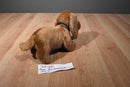 Russ The Dachshund Beanbag Plush