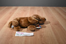 Russ The Dachshund Beanbag Plush