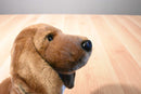 Russ The Dachshund Beanbag Plush